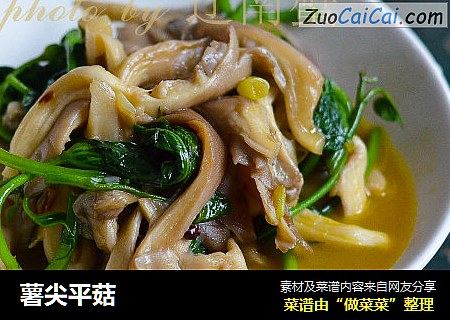 薯尖平菇