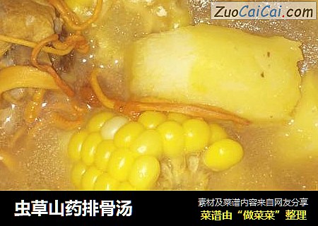 虫草山药排骨汤