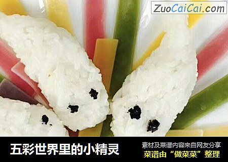 五彩世界里的小精灵