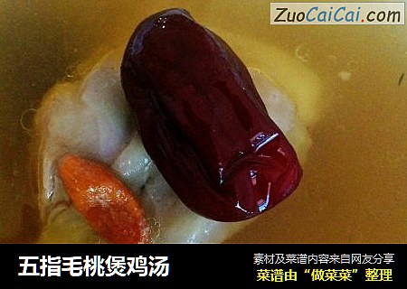 五指毛桃煲鸡汤