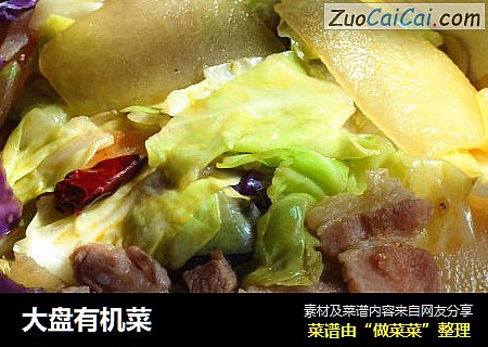 大盘有机菜