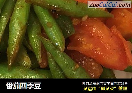 番茄四季豆