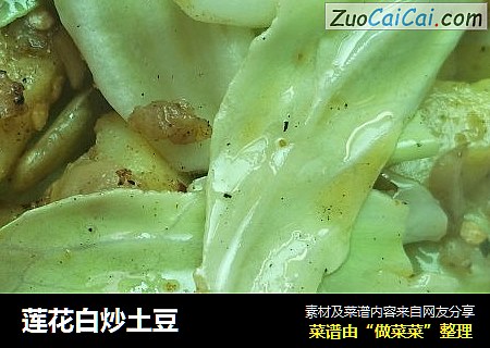 莲花白炒土豆