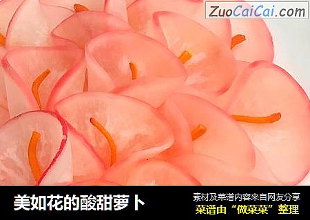 美如花的酸甜萝卜