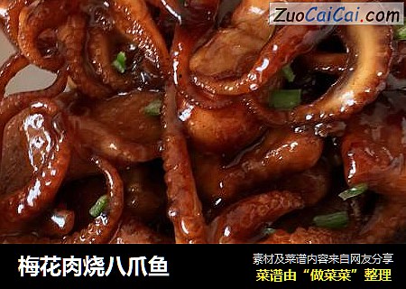 梅花肉烧八爪鱼