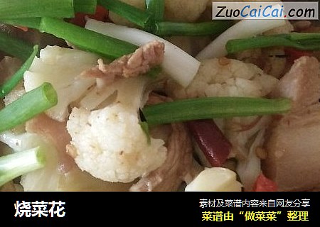 烧菜花