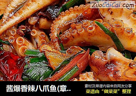 酱爆香辣八爪鱼(章鱼)