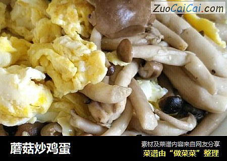 蘑菇炒鸡蛋