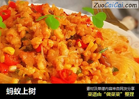 蚂蚁上树