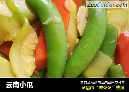 云南小瓜