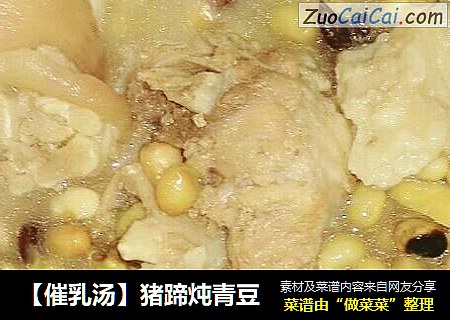 【催乳汤】猪蹄炖青豆