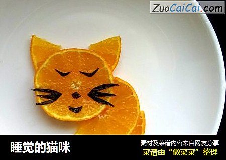 睡觉的猫咪