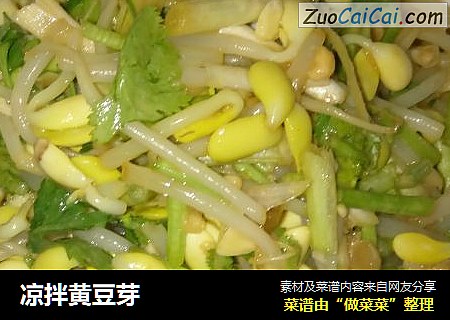 凉拌黄豆芽