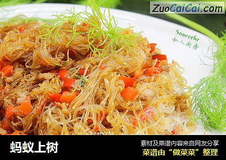 蚂蚁上树