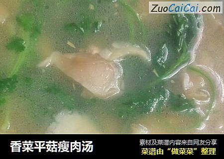香菜平菇瘦肉汤