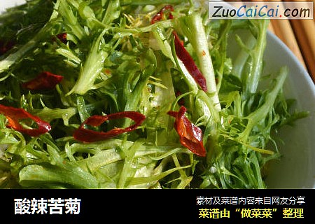 酸辣苦菊