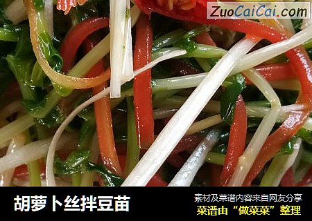 胡萝卜丝拌豆苗