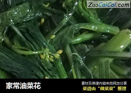家常油菜花