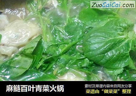 麻鲢百叶青菜火锅