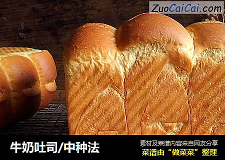 牛奶吐司/中种法
