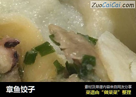 章鱼饺子