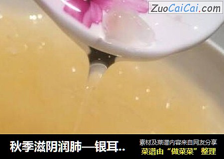 秋季滋阴润肺—银耳润肺汤