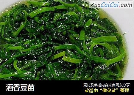 酒香豆苗