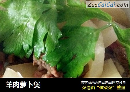 羊肉萝卜煲