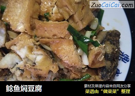 鲶鱼焖豆腐