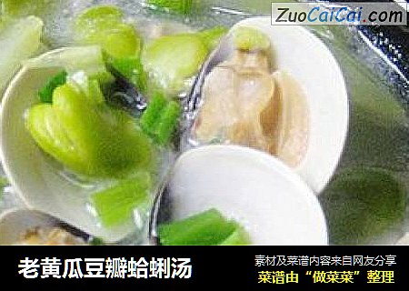 老黄瓜豆瓣蛤蜊汤