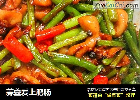 蒜薹爱上肥肠