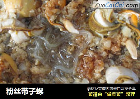 粉丝带子螺