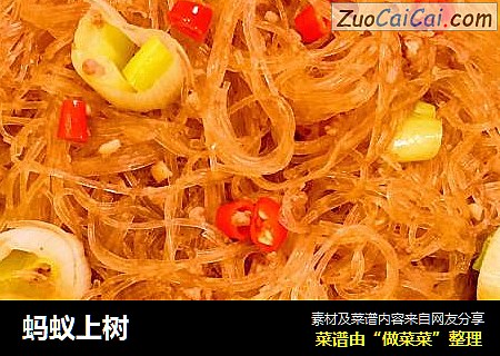 蚂蚁上树