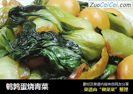 鹌鹑蛋烧青菜