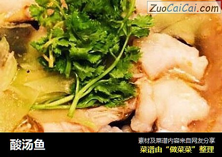 酸汤鱼