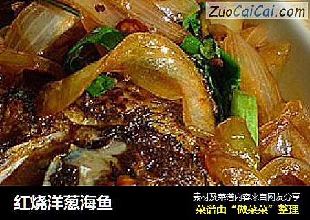 红烧洋葱海鱼