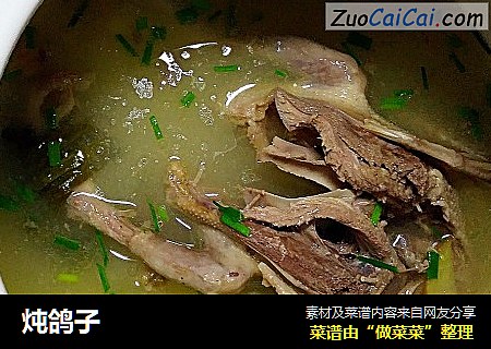 炖鸽子