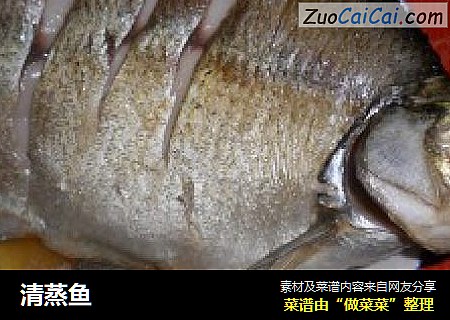 清蒸鱼
