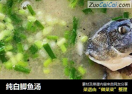 纯白鲫鱼汤