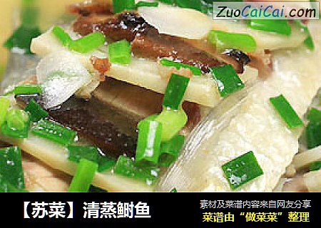 【苏菜】清蒸鲥鱼