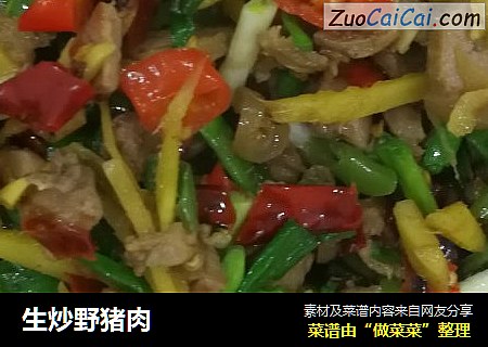 生炒野猪肉