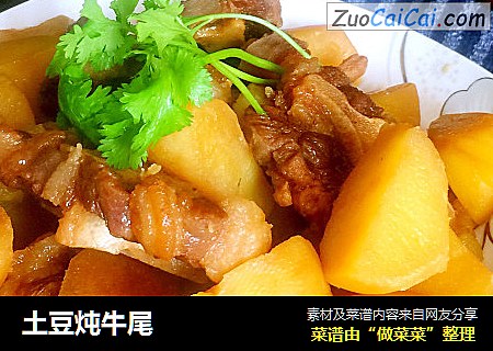 土豆炖牛尾