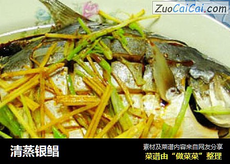 清蒸银鲳
