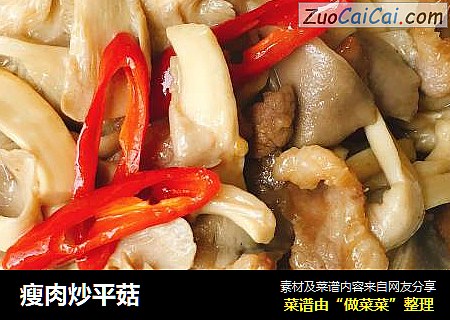 瘦肉炒平菇