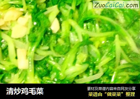 清炒鸡毛菜