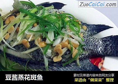 豆酱蒸花斑鱼