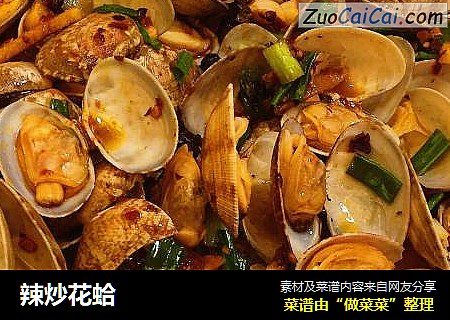 辣炒花蛤