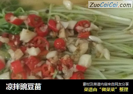 凉拌豌豆苗