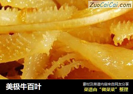 美极牛百叶