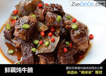 鲜藕炖牛腩